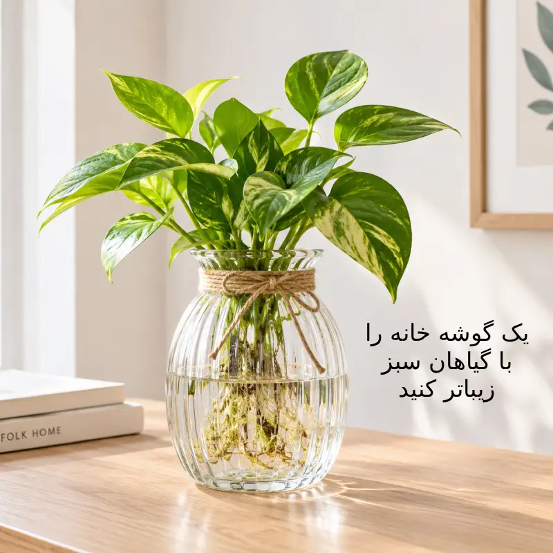 یک گوشه خانه را با گیاهان سبز زیباتر کن